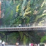 jardín o muro vegetal de la Caixa Forum en Madrid