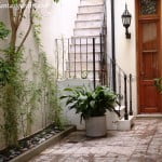 Phyllostachys nigra en cantero con piedra bola Aspidistra elatior y Dracaena fragans