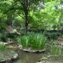 Lo mejor del mes en Plantas & Jardín