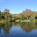 Lo mejor del mes en Plantas & Jardín
