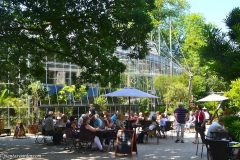 Terraza del bar del Hortus Botanicus Ámsterdam