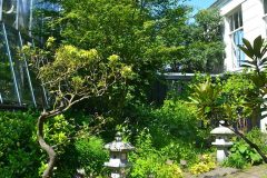 camino con faroles de piedra