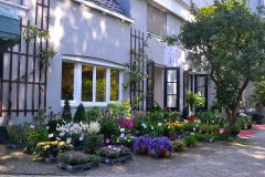 Entrando al Jardín Botánico de Ámsterdam