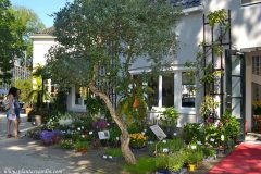 De Hortus Store Botanicus Ámsterdam