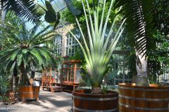 Invernadero-Greenhouse