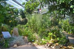 Invernadero cn escaleras y camino aéreo para recorrerlo