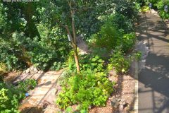 Vistas aéreas desde el camino en el invernadero