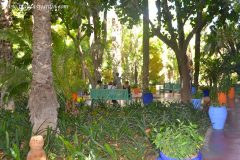Atractivos colores inundan el jardín del pintor francés, Jacques Majorelle