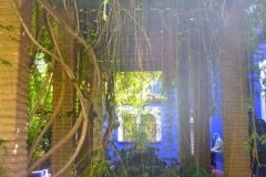 Bajo la pérgola, Monstera y en perspectiva típica ventana marroquí