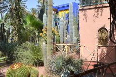 Colección de Cactáceas, incluye 30 especies diferentes en el Jardin de Majorelle