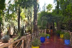 Jardin de Majorelle