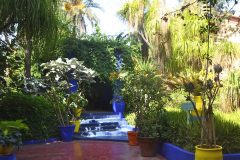 El Jardin de Majorelle lleno de color y plantas un pequeño oasis en pleno centro de Marrakech