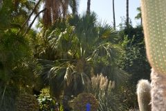 Fuente cuadrada azul en el Jardin Majorelle