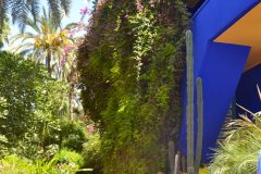 Lateral del antiguo taller del artista cubierto con Bougainvillea