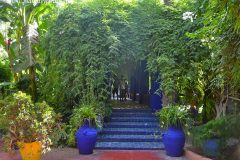 Pérgola cubierta con enredadera y enmarcada por macetas azules