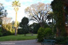 Espacios estancos alrededor de la casa para disfutar de la naturaleza
