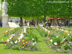 Macizos florales de bulbosas Tulipanes Fritillarias Narcisos y Jacintos