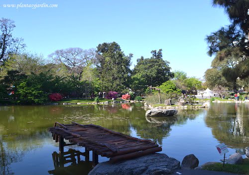 Jardín Japonés de Buenos Aires